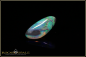 Preview: Lightning Ridge black Opal - 2,05ct